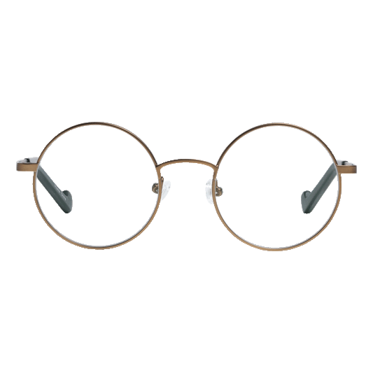 Renee's Readers Photochromic  Blue Light Blocking Cary in Black or Antique Gold