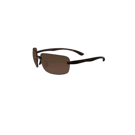 Visualites Bifocal Sun Reader 01 in Black or Tortoise
