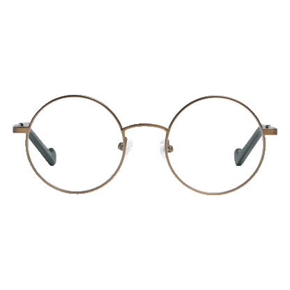 Renee's Readers Photochromic  Blue Light Blocking Cary in Black or Antique Gold