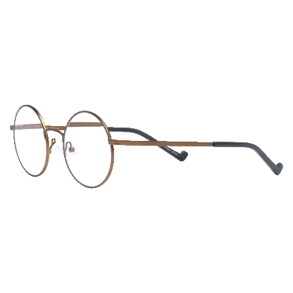 Renee's Readers Photochromic  Blue Light Blocking Cary in Black or Antique Gold