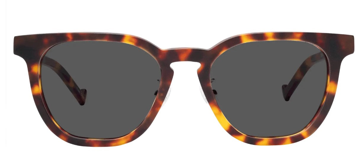 Renee's Readers Photochromic Thomas Dual Focus No-Line PROGRESSIVE Sun/Indoor reader in Matte Tortoise or Matte Black