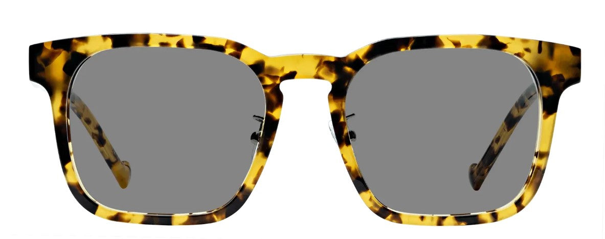 Renee's Readers Photochromic Dawn Dual Focus No-Line PROGRESSIVE Sun/Indoor reader in Vintage or Matte Tortoise